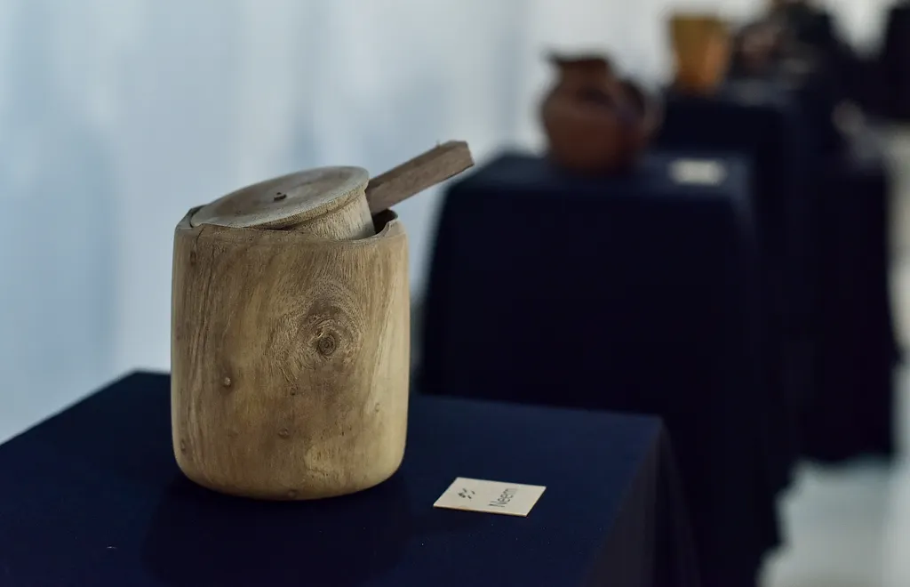 އަޒްމީގެ ހުނަރު ދައްކާލުމަށް ފެށި އެގްޒިބިޝަން