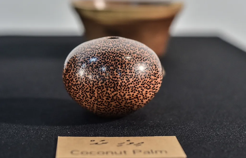 އަޒްމީގެ ހުނަރު ދައްކާލުމަށް ފެށި އެގްޒިބިޝަން