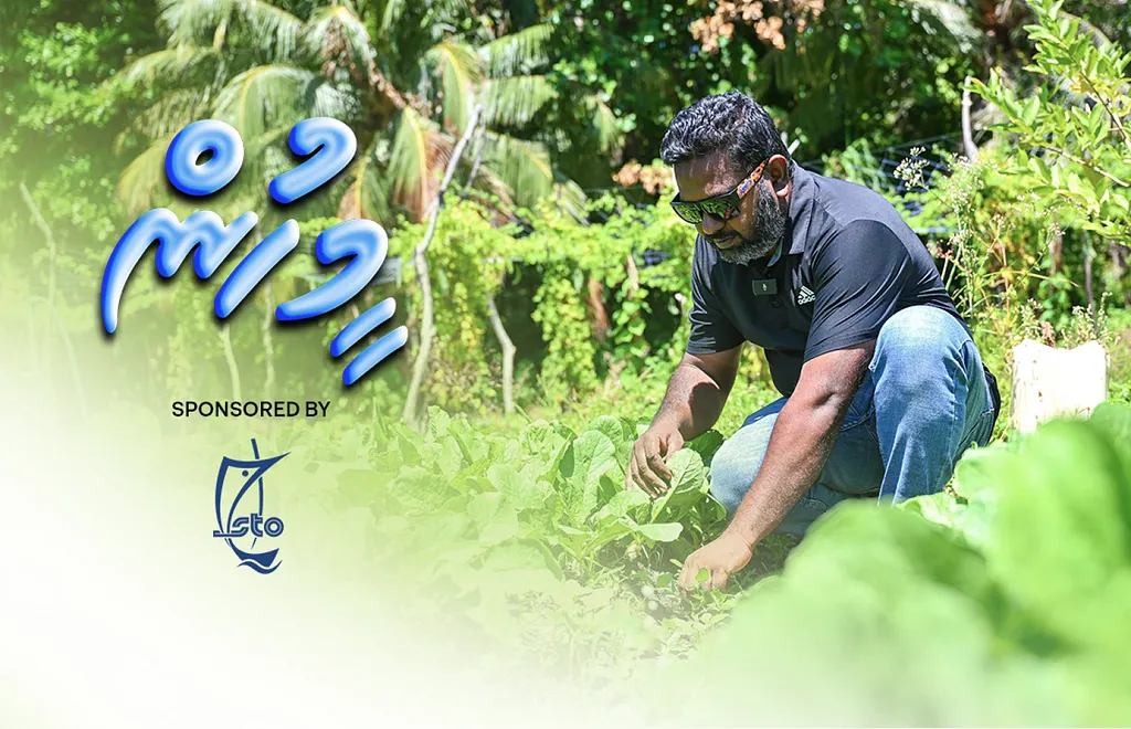 ޖަޒީރާ ދަނޑުވެރިޔާ: އެންމެން ގޮވައިގެން ވާޗުއަލް ދަނޑެއްގައި