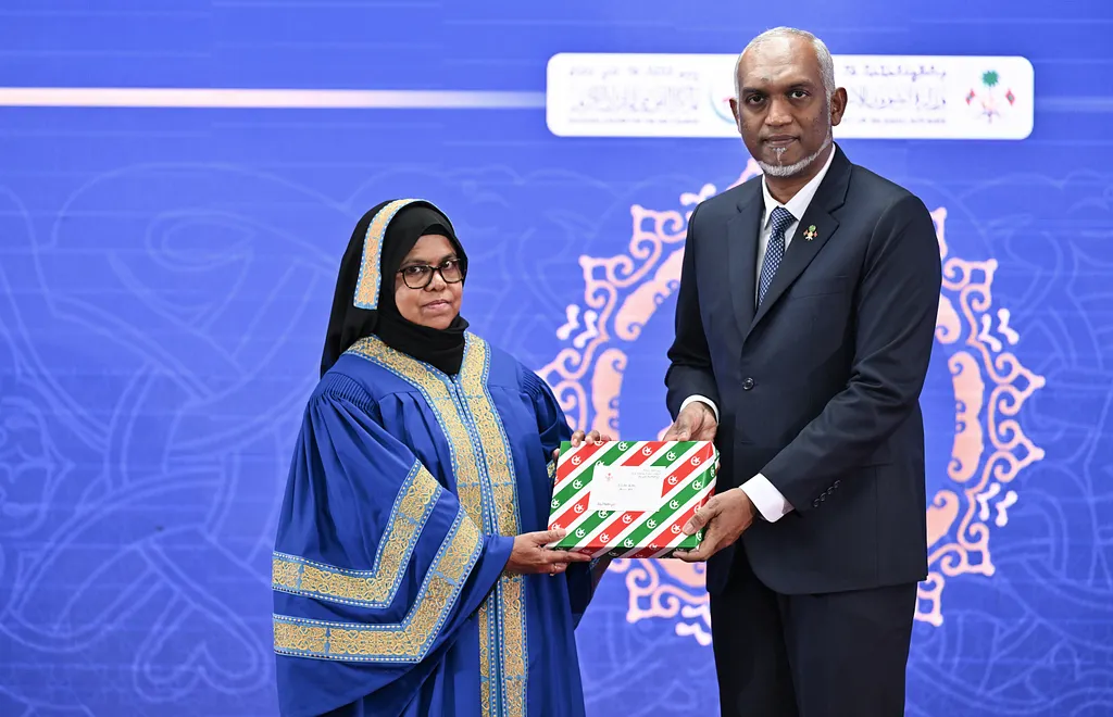 ހާފިޒުން ދަސްވެނިވުމުގެ ރަސްމިއްޔާތު