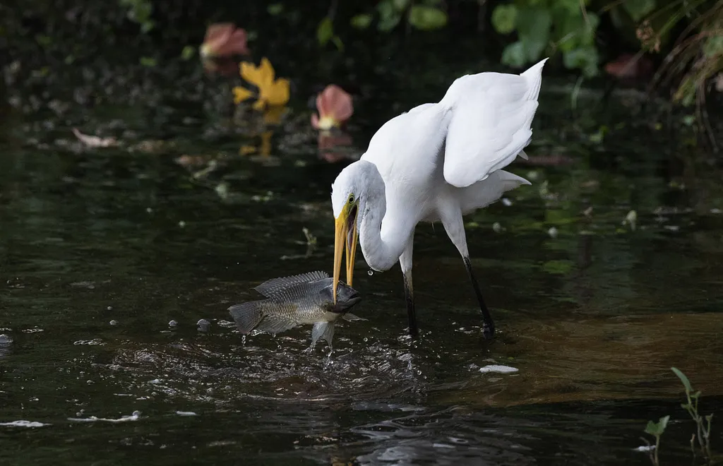 ފުވައްމުލަކު ބަންޑާރަކިޅީގެ ހިތްގައިމު މަންޒަރުތައް
