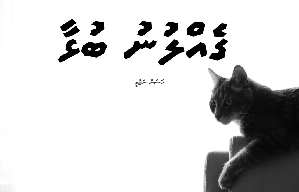 ކުރުވާހަކަ: ގެއްލުނު ބުޅާ