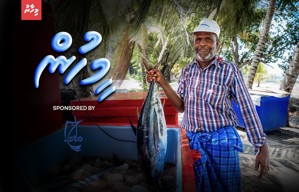 އައްޑޫގެ މަސް ފެކްޓަރީއަކީ ބުޝްރީބެ، އެކަމަކު މުއްސަންޖެއް ނޫން!