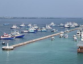 "މިހާރު" ގެ ފޮޓޯތަކުން 2025 ގެ އުސްއަލިތައް