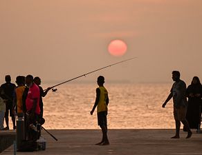 މަނަދޫގެ އެންމެންގެ އުފާވެރިކަމާ ގުޅިފައިވާ "ނާމަގު" ޖެޓީ: