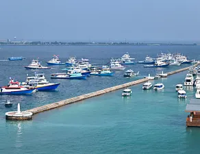 "މިހާރު" ގެ ފޮޓޯތަކުން 2025 ގެ އުސްއަލިތައް