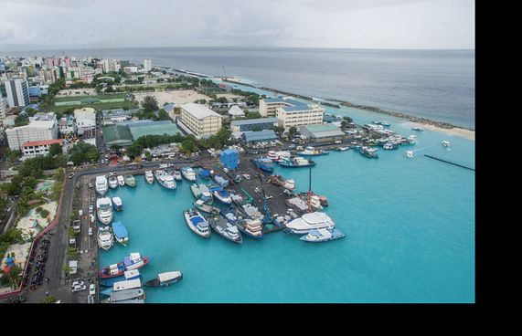 ޓީޖެޓީ ސަރަހައްދުގެ މޫދަށް ވެއްޓި މީހަކު މަރުވެއްޖެ