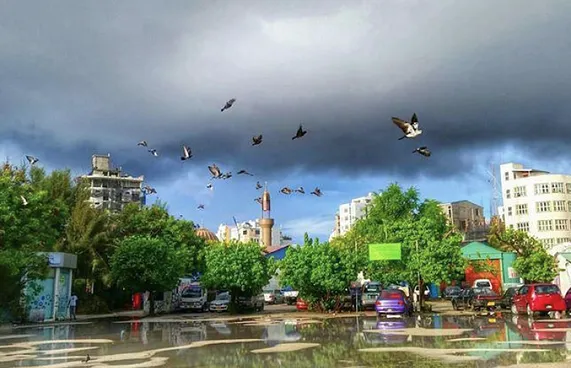 ކެމްޕޭން ޖަލްސާ ބާއްވަން އެމްޑީޕީއަށް ކާނިވާ ނުލިބުނު