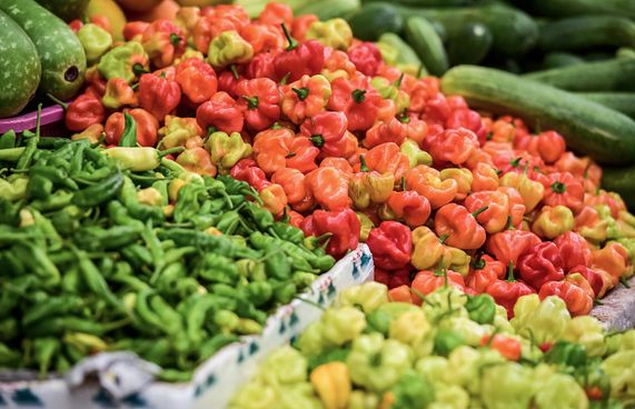 "މިރުހުގެ އަގު މާރުކޭޓުގައި ކޮންޓްރޯލެއް ނުވާނެ"