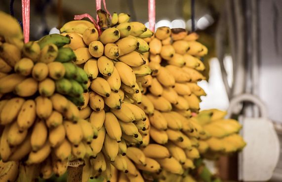 މޫނު ރީތިކުރާށާއި ދަތް ހުދުކުރަން ވެސް ދޮންކެޔޮ ތޮށި