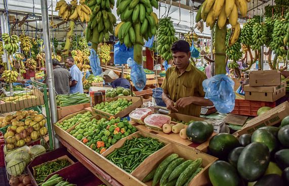 ވިޔަފާރިކުރާ ތަންތަން ބަލައި ފިޔަވަޅު އަޅަން ފަށައިފި