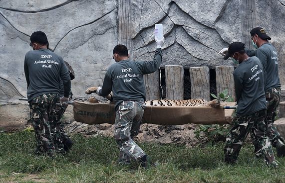 ފައްޅީގެ ފްރީޒަރުން 40 ކުދި މިނިކާވަގު ފެނިއްޖެ