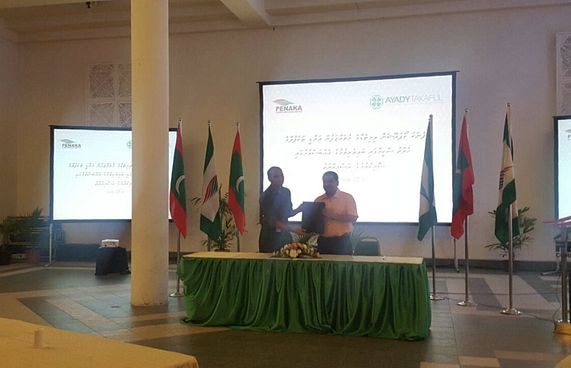 ފެނަކައިން ތިން ސްކީމެއްގައި ބައިވެރިވެއްޖެ