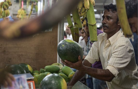 އުގެއިލްގެ ހަދިޔާ: ކާބޯތަކެތީގެ ވިހައިން ސަލާމަތްވުން