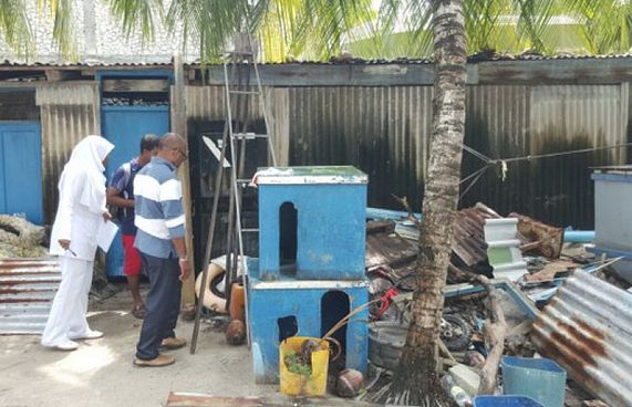 ޑެންގީ ފެތުރޭ ނިސްބަތް މިހާރު ދަނީ ދަށަށް: އެޗުޕީއޭ
