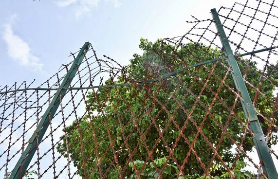 މަރުގެ އަދަބު: ފުރިހަމަނުވާ ޖިނާއީ ނިޒާމެއްގެ ތެރެއިން