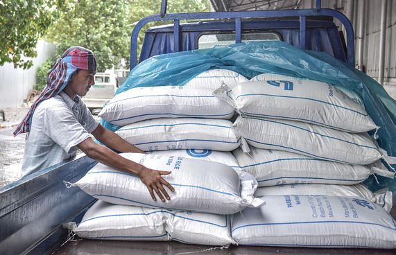 ކާޑުގެ ބާވަތްތަކުގެ އަގުހެޔޮ ކުރަން ނިންމައިފި