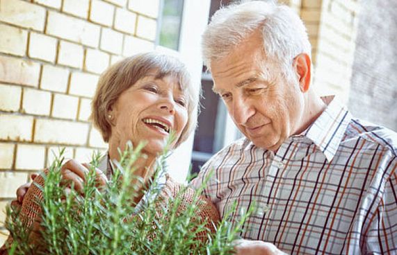 ވަރަށް އުމުރުދިގު މީހުން އުޅޭ ރަށެއް: ސިއްރަކީ ކޮބާ؟