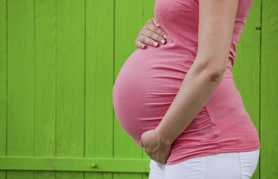 ޕްރިންސަސް ފާތިމަތު ބުލްބުލް އާއި ނެގަޓިވް އާރުއެޗް