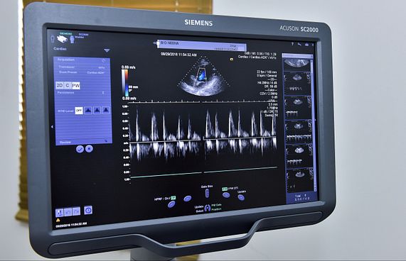 އެންމެ ގިނަ މީހުން މަރުވީ ހިތުގެ މައްސަލަތަކުގައި!