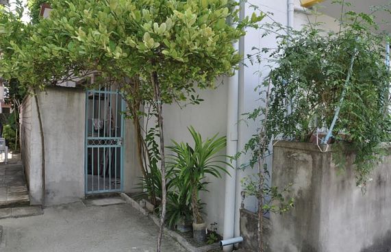 ނުގަވައިދުން ހަދާފައި ހުރި ތަންތަން ނަގަން އަންގައިފި