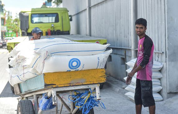 ކޮލަމް ށަވިޔަނި: ކުއްލިއަކަށް މި އައީ ކޮން ރޯޅިއެއް؟