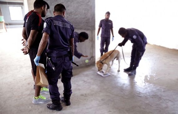 އެއް އަހަރު ތެރޭ 100 ކިލޯގެ ޑްރަގް އަތުލައިގެންފި