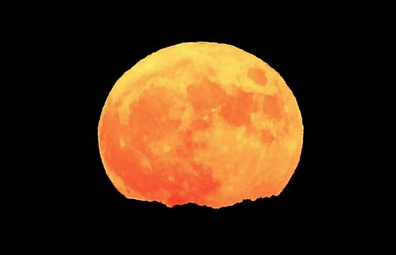 ކުރިއަށް އޮތީ މާ ހަނދުގެ ފޯވަހިތަކެއް