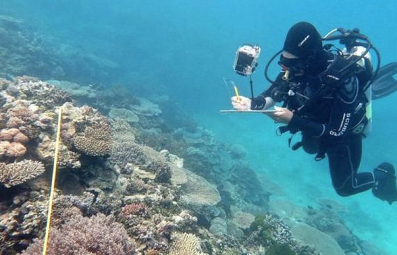 ބެރިއާ ރީފް އެންމެ ބޮޑަށް ހުދުވީ މި އަހަރު: ރިޕޯޓް