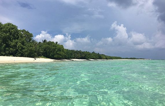 "ގަރުދިޔަ، ރާއްޖެތެރެ، މޯޑިސް": ހަބޭސް ވާހަކައެއް؟