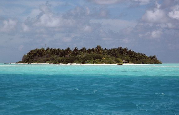 ބޮޑުމޮހޮރާއާ ގުޅޭ ހުކުމް ބާތިލުކޮށް ގާޒީ ދުރުކޮށްފި