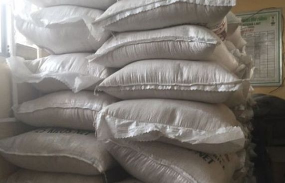 ތިން ޓަނުގެ "ޕްލާސްޓިކް ހަނޑޫ" ހިފަހައްޓައިފި