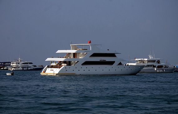 އެޗްޑީސީން ބޮޑު ފީއެއް ނަގާތީ ލިވްއަބޯޑުން ޝަކުވާކޮށްފި