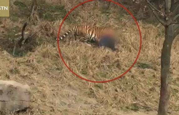 ޒުލެއްގައި މިނިކާވަގެއް މީހަކަށް ހަމަލާދީ މަރާލައިފި