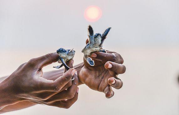 ވެލާ ކަހަނބަށް ފަރުވާ ދޭން ހާއްސަ ސެންޓަރެއް