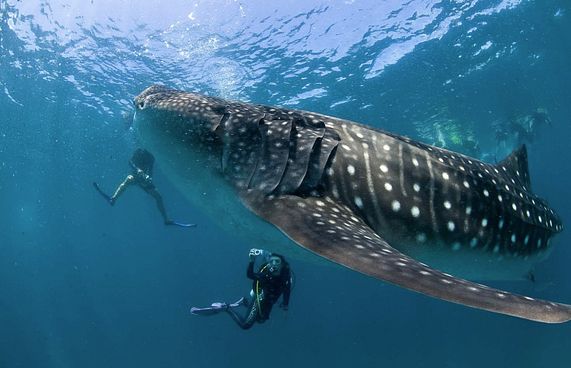 ރާއްޖޭގައި ފެހުރިއްސަށް ގޯނާކުރުން އިތުރުވޭ: މިނިސްޓަރު