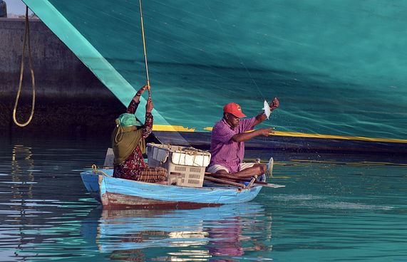 އެންމެ ބޮޑު އާމްދަނީއެއް ލިބެނީ ފ. އަތޮޅު މީހުންނަށް