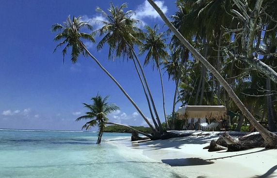 ތުލުސްދޫން ބިން ދޫކުރާ ގޮތާ މެދު ހިތްހަމަނުޖެހިއްޖެ