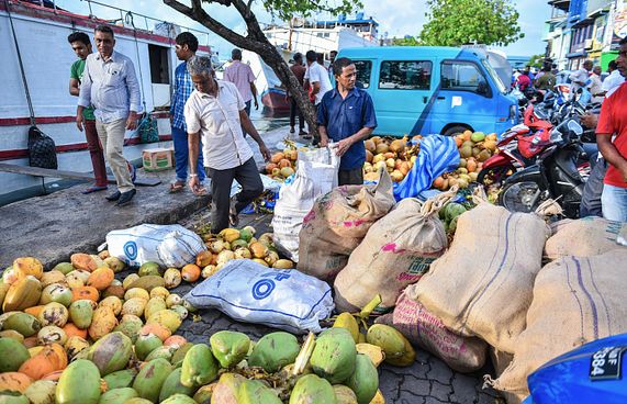 ހުރިހާ ކަމެއް ސަރުކާރުގެ ބޮލަށް ޖަހާފައި ފުއްދާ ނުލާ!