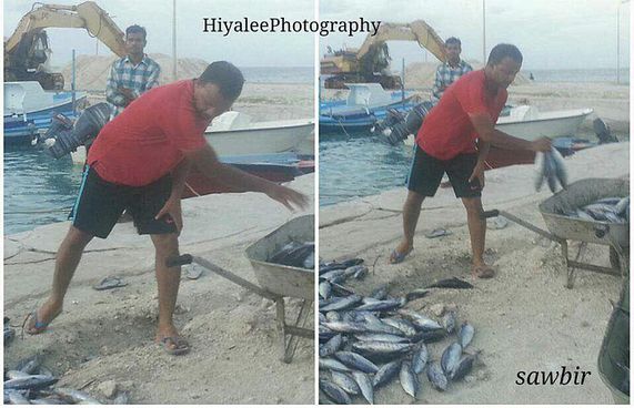 މިހާރު އެނގިއްޖެ: އަލީ ހުސެންގެ މަސްވެރިކަން