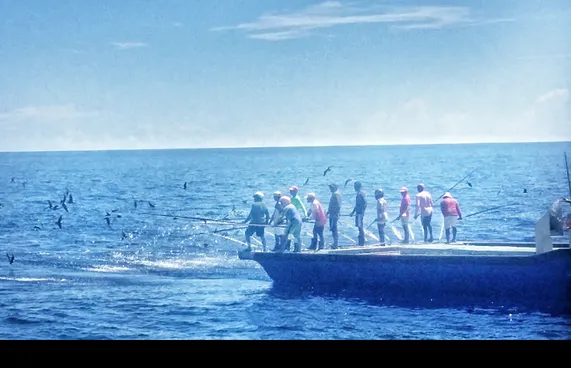 މަސްވެރިކަމުގެ އާ ގަވައިދުގައި ބޮޑެތި ޖޫރިމަނާތަކެއް