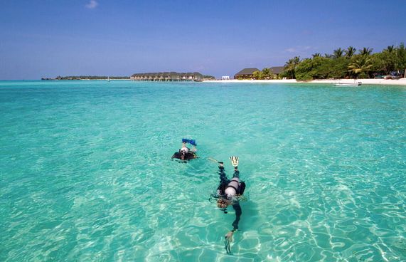 އީޒްމައިޓްރިޕްއިން ރާއްޖެއަށް ބުކިން ހަދައިދޭން ފަށައިފި