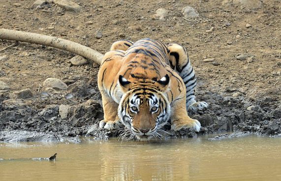 ފައިސާގެ ބޭނުމުގައި މައިންބަފައިން މިނިކާވަގަށް ދެނީ