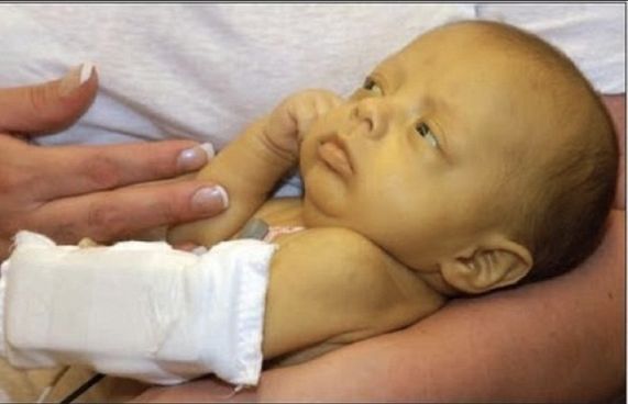 ތުއްތު ދަރިފުޅު ރީނދޫ ވަނީ ކީއްވެ؟