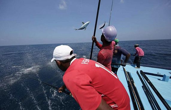 މަސްރޭހެއް ކެންސަލް ކުރުމުން ކޯޓަށް،މައްސަލަ ނާކާމިޔާބު