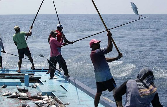 އިން ވަކިކުރި ގޮތުން މަސްވެރިކަމަށް އަސަރެއް ނުކުރާނެ