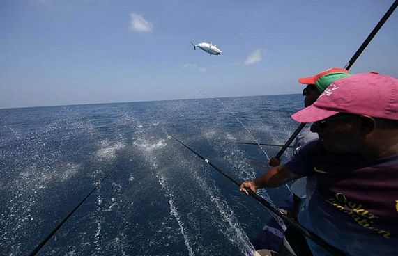 ކަނޑުގެ މުހިއްމު ސަރަހައްދުތައް ބެލުމުގެ ސާވޭއެއް