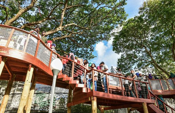 ހިތްހަމަޖެހުން ލިބޭ ގޮތަށް ސަލްޓަންޕާކަށް ރީތި ބަދަލެއް