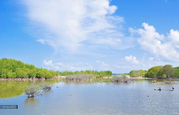 ކުޅި ނެތިއްޔާ ކުޅުދުއްފުއްޓަކަށް ނުވާނެ: ނަޝީދު