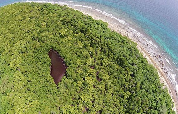 ކޭލަކުނު ޓޫރިޒަމަށް ހުޅުވާލުމުން އިކޯކެއާގެ ކަންބޮޑުވުން